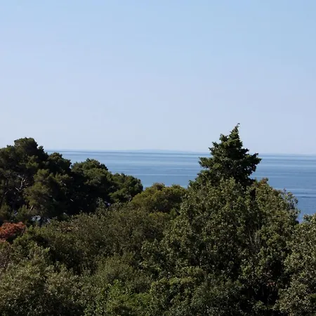 Apartment By The Sea Suha Punta, Rab - 5050 Kampor