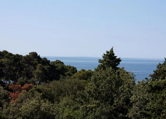 Διαμέρισμα By The Sea Suha Punta, Rab - 5050 Kampor